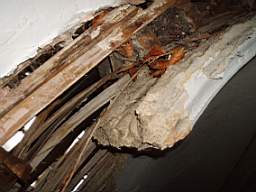 stjohnsballinalee 1215.JPG